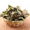 Herba Epimedii (Yin Yang Huo)