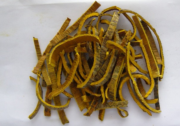 ¿Qué es Huang Bai (Cortex Phellodendri Herb)